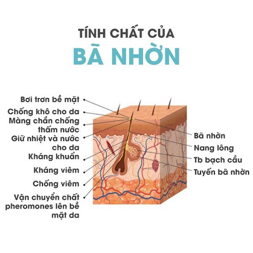 Tinh Chat Cua Ba Nhon
