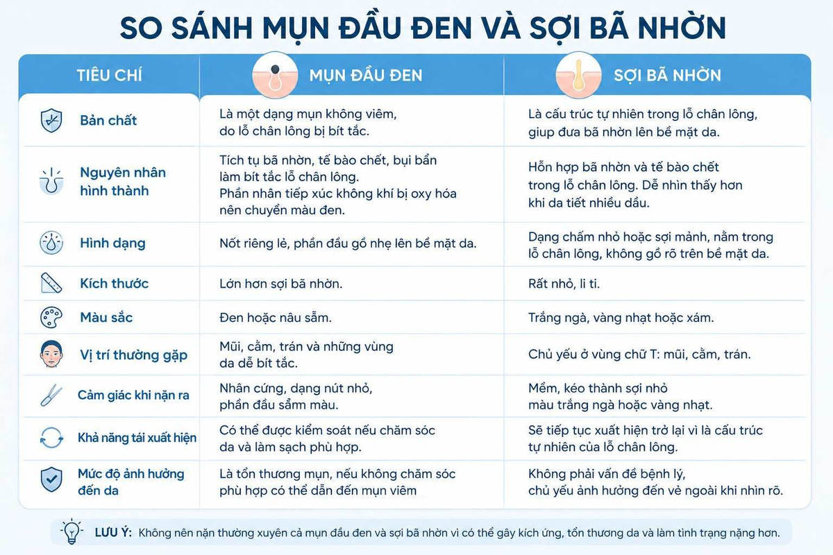 Nhận biết mụn đầu đen và sợi bã nhờn qua những đặc điểm thường gặp