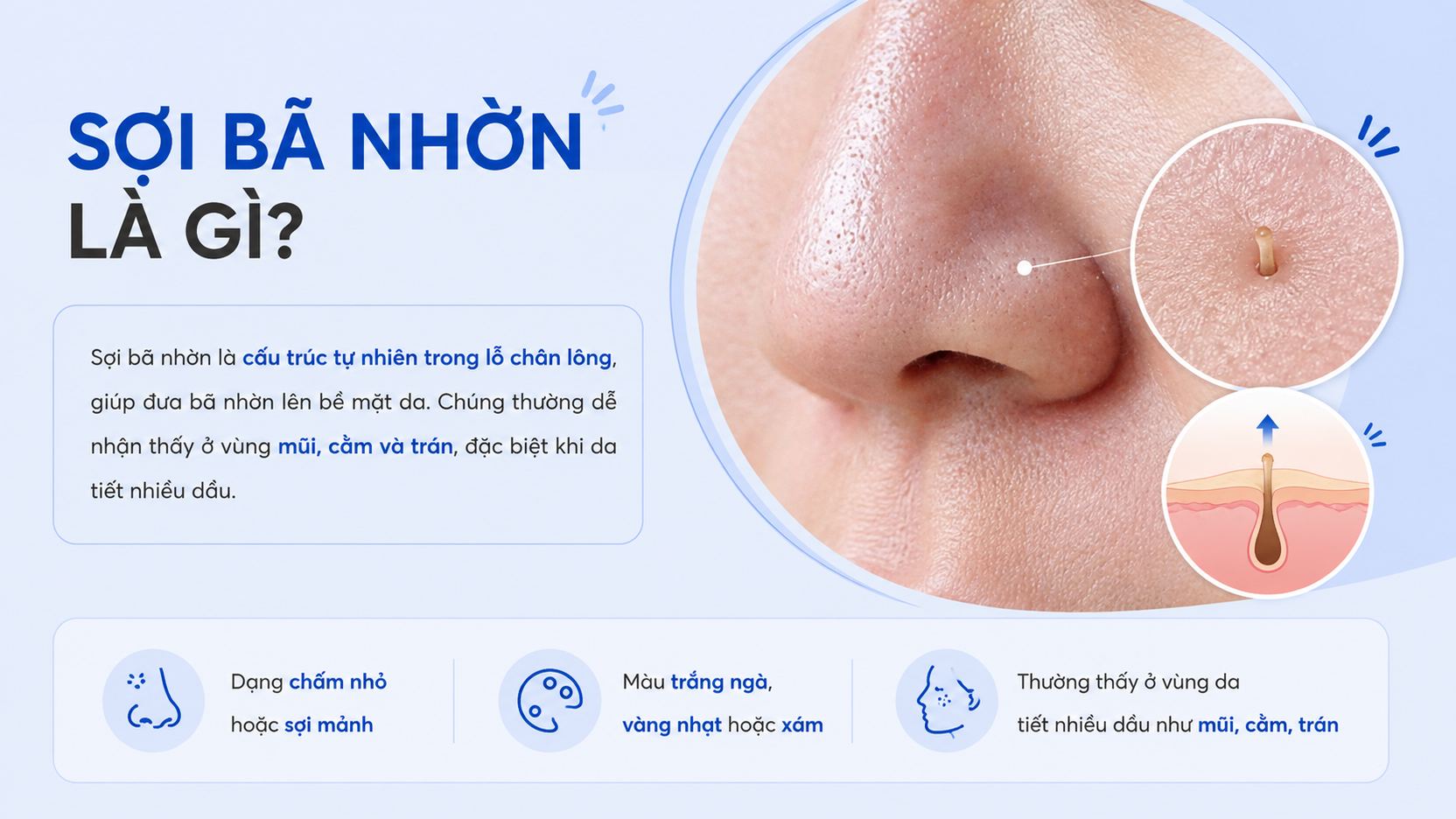 Sợi bã nhờn là những chấm nhỏ màu trắng ngà hoặc vàng nhạt, phân bố khá đều trên da