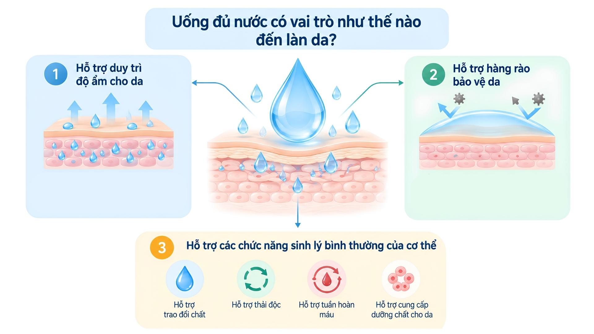 Tổng quan những vai trò của việc uống đủ nước trong việc duy trì độ ẩm và sức khỏe của làn da