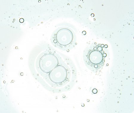 Kem dưỡng Bioderma xanh Pore Refiner